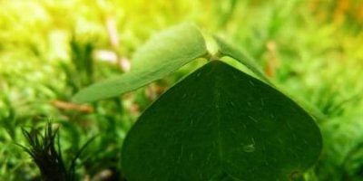 ​女追男的禁忌(女生追男生的十大禁忌)