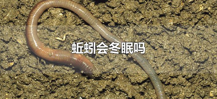 蚯蚓会冬眠吗 蚯蚓会冬眠吗