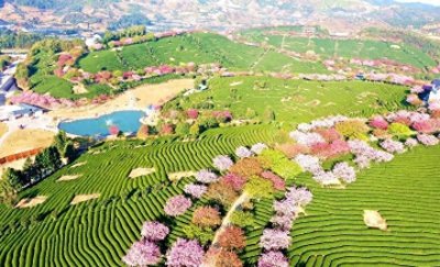 为什么漳平市值得大力发展?