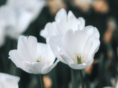 ​巨蟹座男生的真实性格（）巨蟹座的男人性格深度解析 自我鉴定）