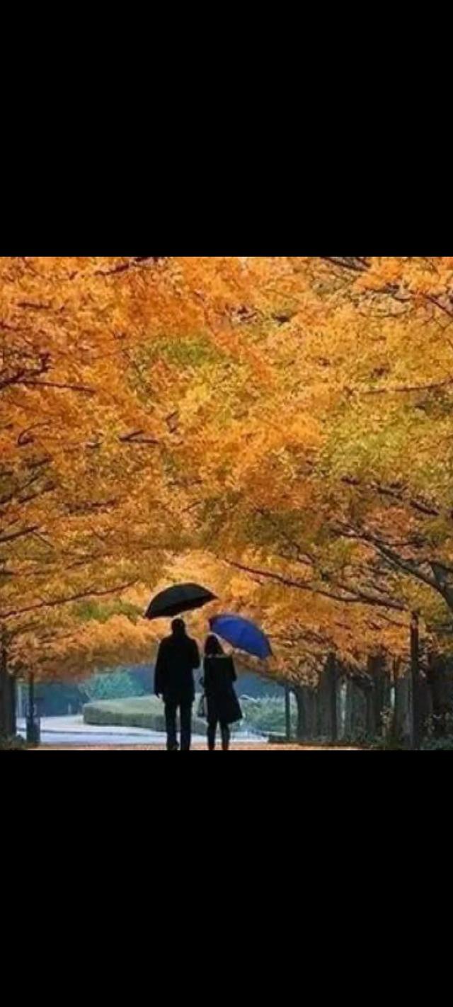 岁月就像一把杀猪刀意思（为什么要把岁月比喻成一把杀猪刀）(2)