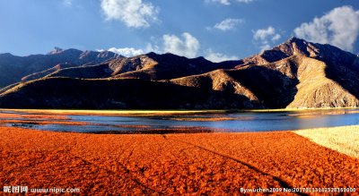 ​阅历是什么意思（阅历决定格局知识改变命运）