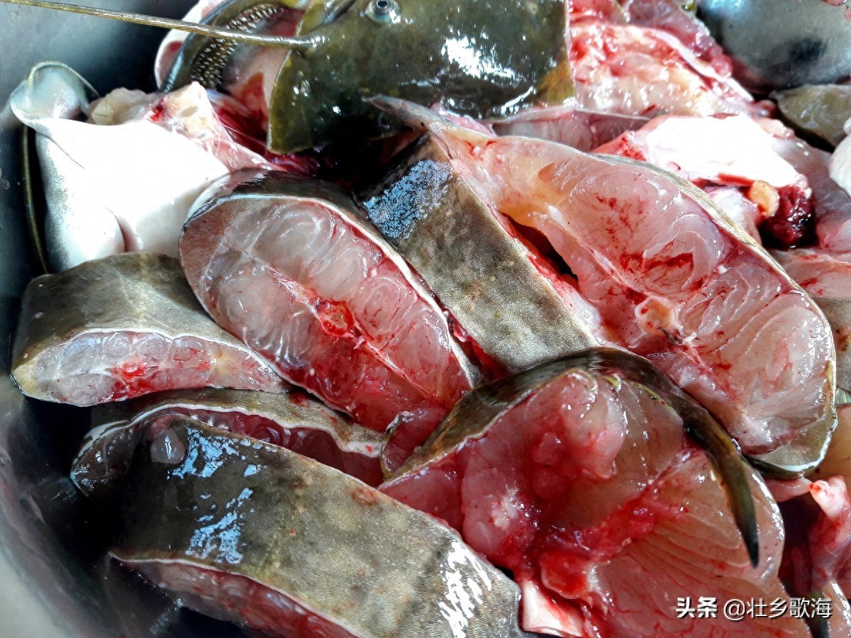 塘角鱼被称为最脏的鱼,拿来打火锅好吃吗?