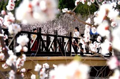 ​日本2月的传统节日 2月份的中国节日