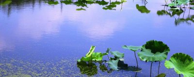 ​立夏时候的温度