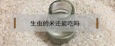 ​生虫的米还能吃吗