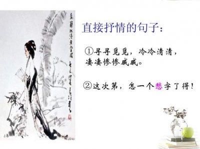 ​寻寻觅觅冷冷清清凄凄惨惨戚戚是什么意思（这句诗的含义）