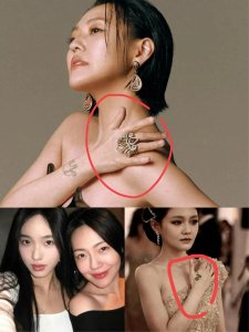 向太凌晨三点炮轰微博将小S置于舆论焦点