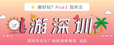 深夜公告!深圳市当代艺术与城市规划馆暂停开放