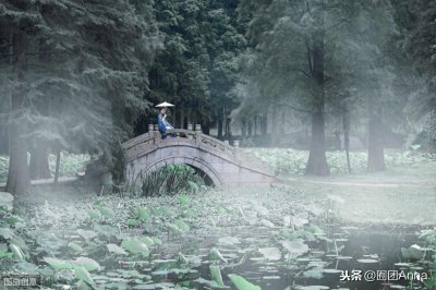 《贵妾之女》亲姐姐庶女娇花儿,亲姨娘盛世白莲
