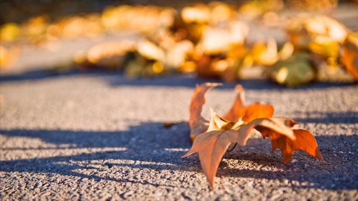 珍藏的记忆（默默珍藏的记忆--最后的秋色）