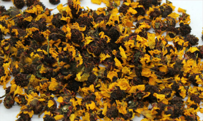 ​雪菊的作用和功效是什么（雪菊美容功效堪比整套倩碧，你知道吗？）