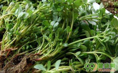 ​治疗尖锐湿疣的中药 中药治尖锐湿疣的方法是什么