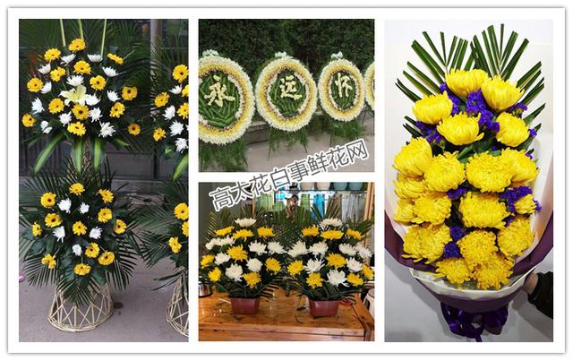 祭拜一般用什么花（带着这几类花前去祭奠）(2)