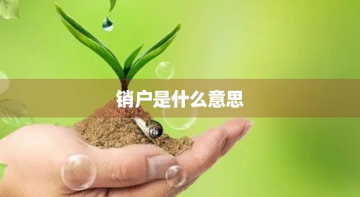 销户是什么意思