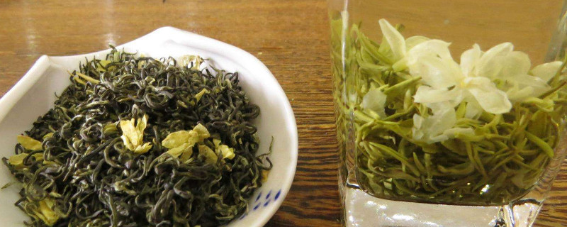 茉莉茶叶属于凉性吗(图1)
