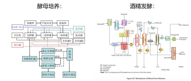 酵母发酵的三大条件（酵母发酵大揭秘）(2)