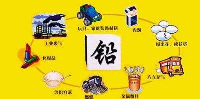 ​经常食用哪种食物容易引起铅中毒（什么食物含铅）