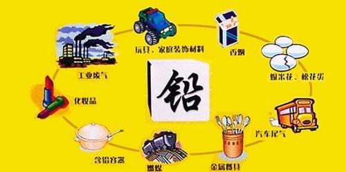 经常食用哪种食物容易引起铅中毒（什么食物含铅）