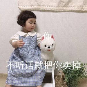 ​表情包：打架吗 兄dei?