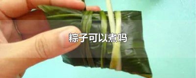 ​粽子可以煮吗? 粽子可以煮吗 多长时间