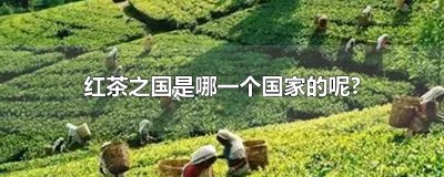 ​红茶之国是哪一个国家的呢?