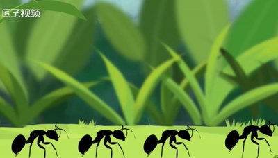 ​蚂蚁是不是昆虫