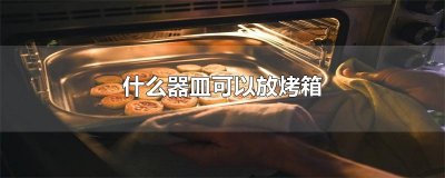 ​什么器皿可以放烤箱