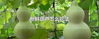 ​新鲜葫芦怎么吃法