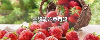 ​空腹能吃草莓吗