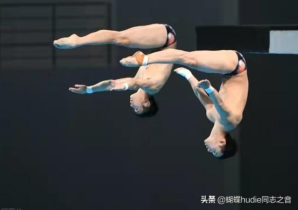 陈艾森为何叫包大人（跳水王子陈大包资料介绍）