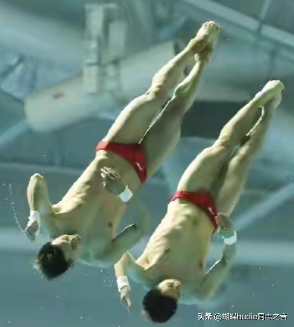 陈艾森为何叫包大人（跳水王子陈大包资料介绍）