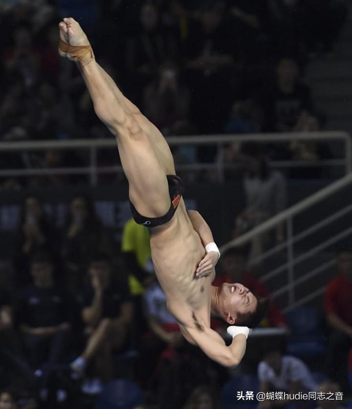 陈艾森为何叫包大人（跳水王子陈大包资料介绍）