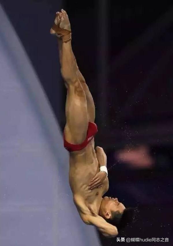 陈艾森为何叫包大人（跳水王子陈大包资料介绍）