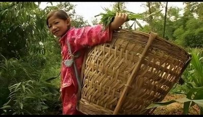 ​《1996 - 2005：四川佘艳的不凡八年，爱与痛交织的传奇》