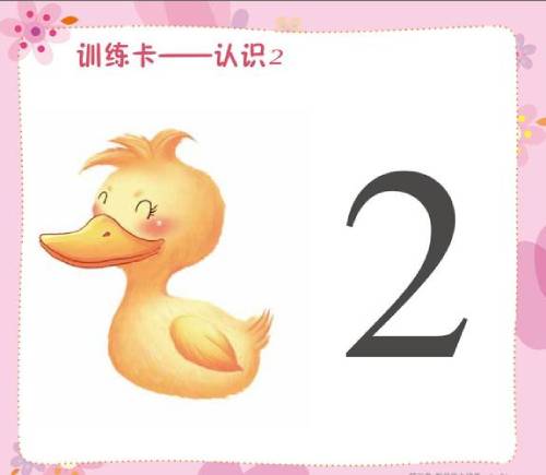 训练卡片认识2