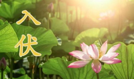 夏至三庚数头伏:夏至后的第三个庚日是入伏