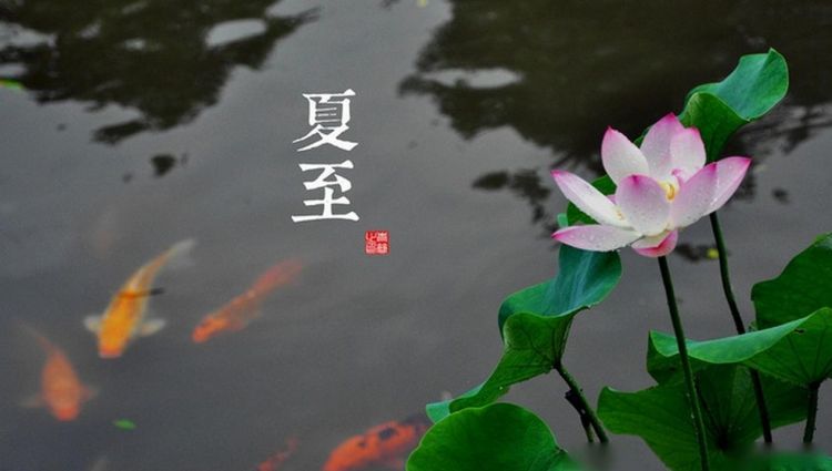 夏至三庚数头伏:俗语“夏至三庚入伏”