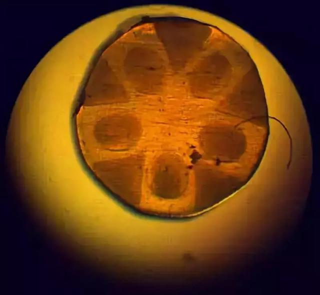 锦织圭什么时候复出(亚洲一哥锦织圭的换线历程)(9)