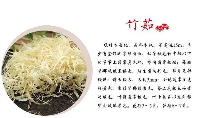 竹沥和竹茹是什么东西