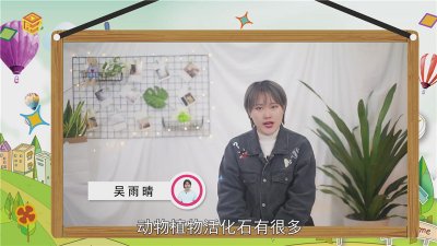 ​活化石有哪些动物植物