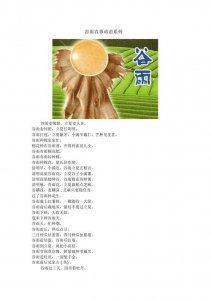 ​谷雨节气的谚语（22句谷雨节气的谚语）