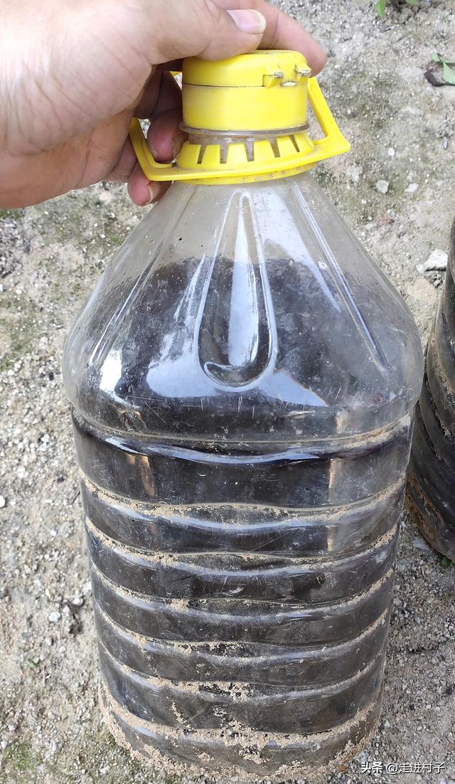 鸡粪发酵菌剂制作方法（发酵鸡粪还在撒菌粉）(4)