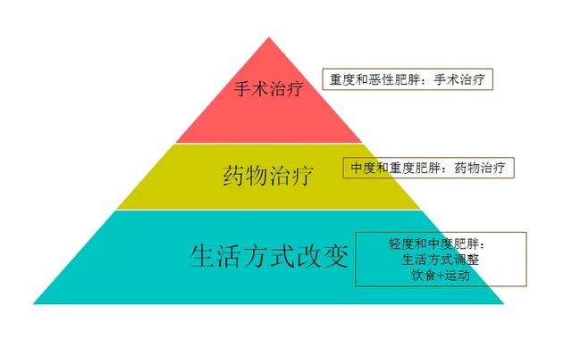 减肥药排行榜十强（减肥药究竟哪种好）(2)