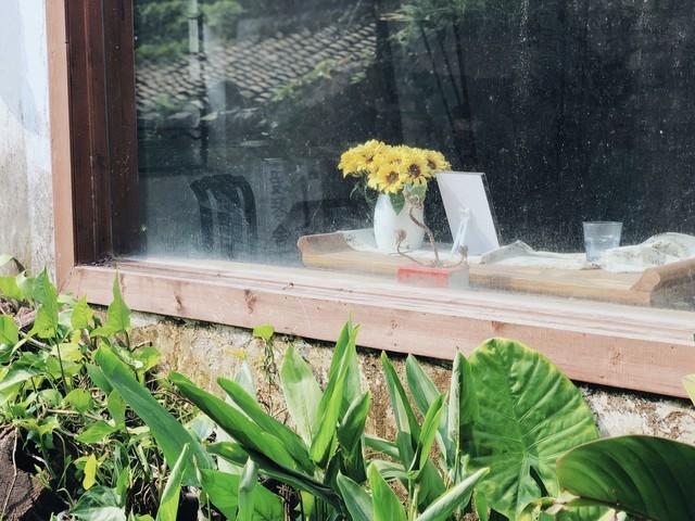 少年年龄范围是多少(多少岁称为少年)