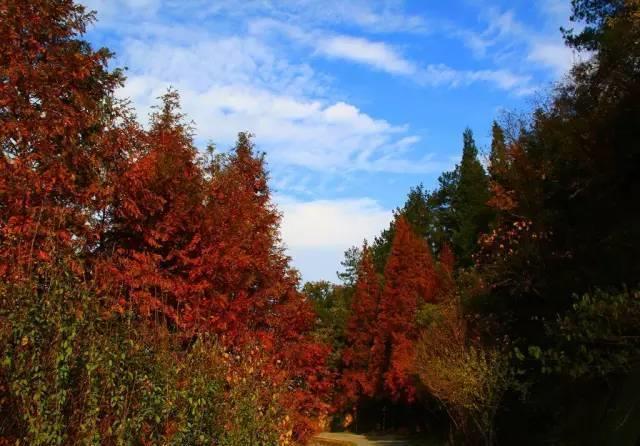 湖北十堰有座小小岛,名气不大,人也不多,却是个散心的好地方