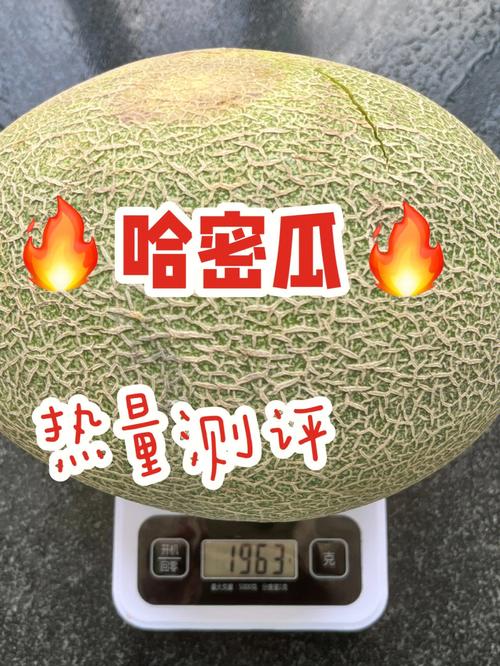哈密瓜的热量(每100克含34大卡)
