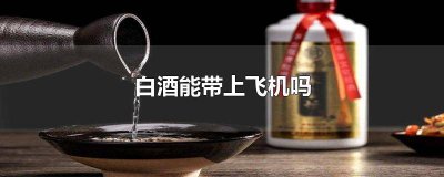 ​白酒能带上飞机不 白酒能带飞机上吗