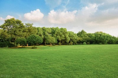 ​快速忘记一个人的秘诀：切断联系、专注于自己、接受现实”