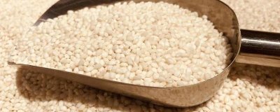 ​阴米是什么米